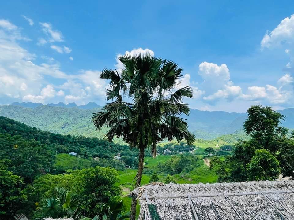 Northwest Vietnam Bike Trip Phu Yen, Mu Cang Chai, Sapa 7 Days